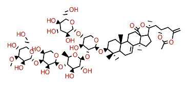 Synallactoside C
